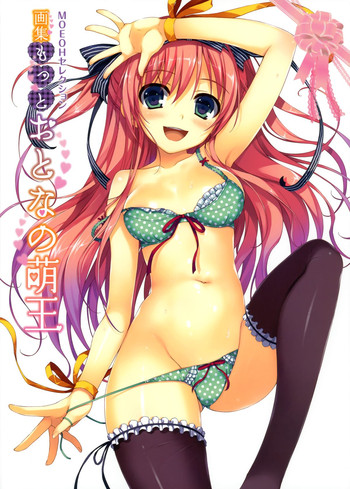 画集 もっとおとなの萌王 画集 もっとおとなの萌王