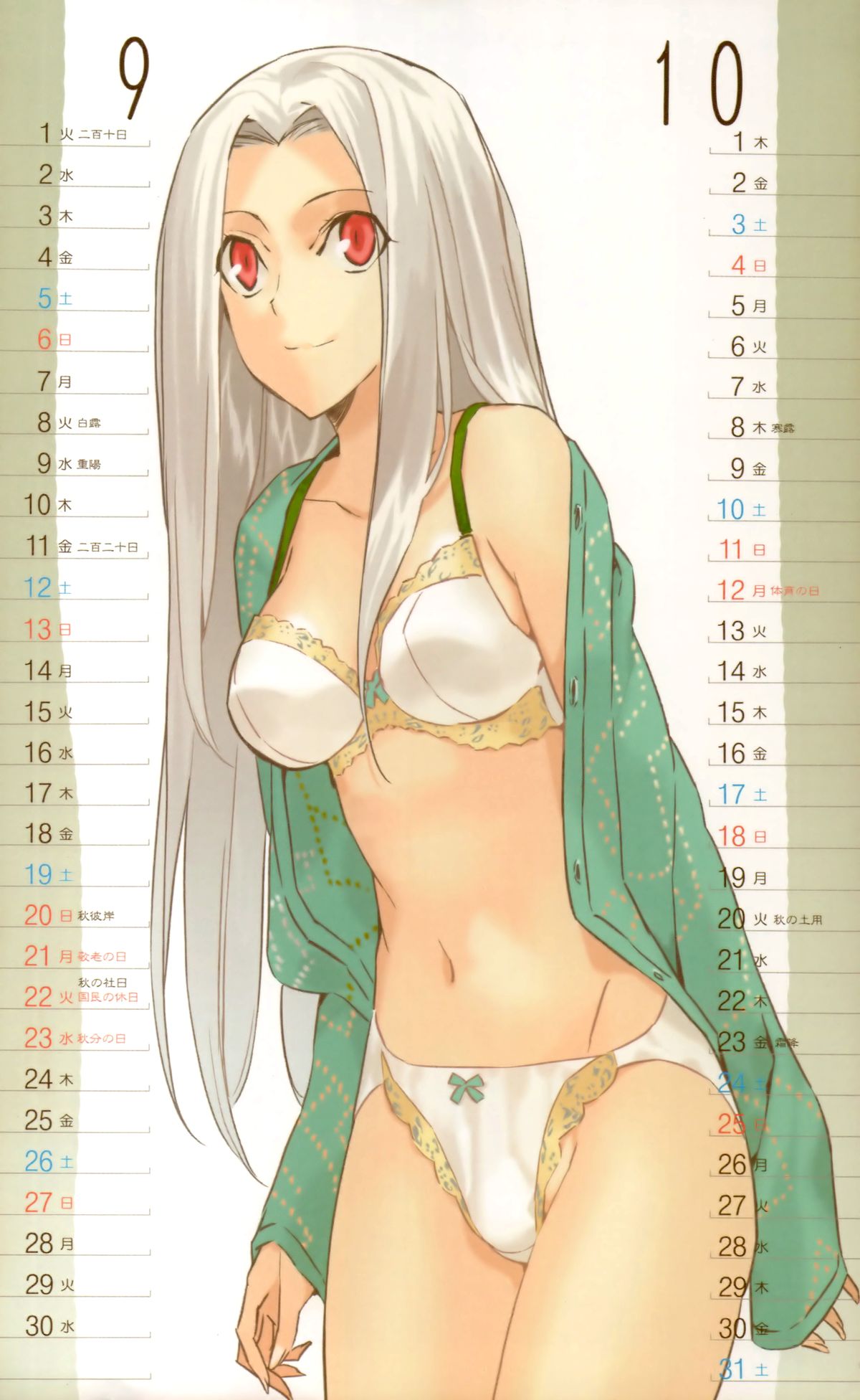 森井さんとこの2009TYPE-MOONCALENDAR