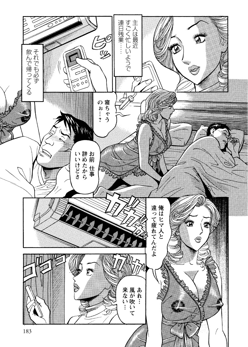 [原茂之] 危ない人妻 祥子の冒険 [DL版]