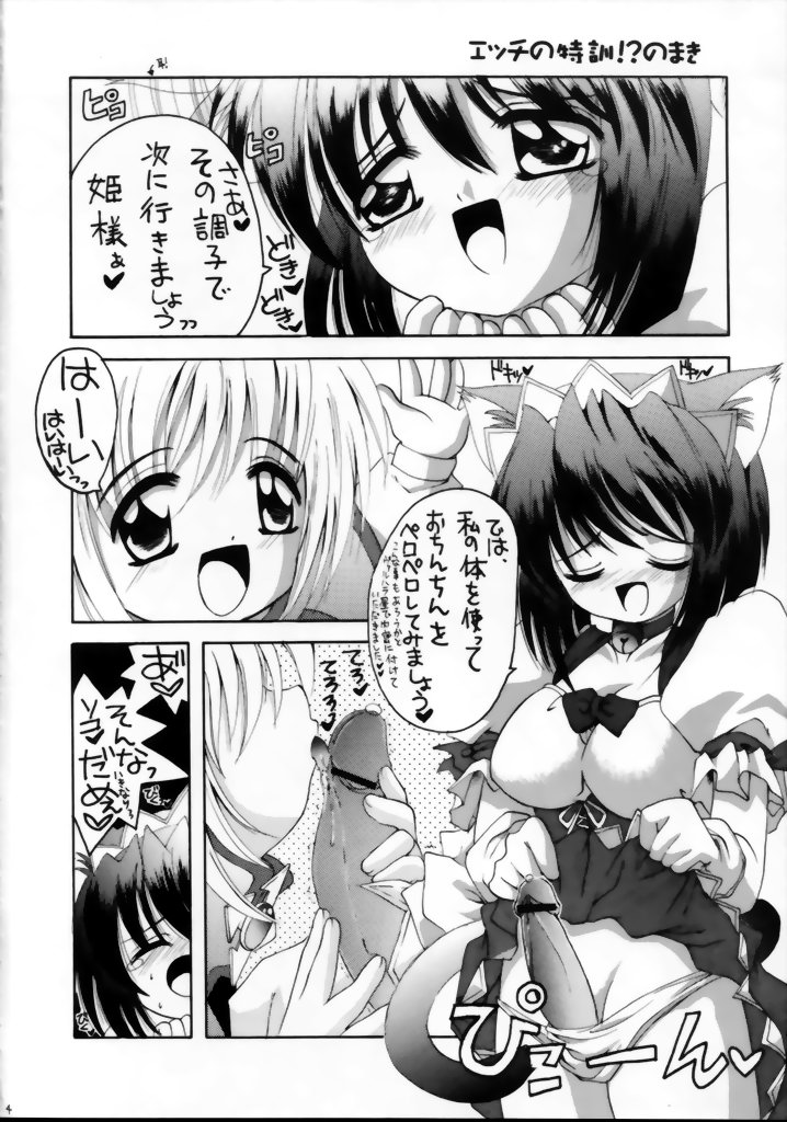 (C63) [ゆきみ本舗 (あさのゆきの)] ワるちゃんりぜるちゃんみっくす (りぜるまいん、円盤皇女ワるきゅーレ)