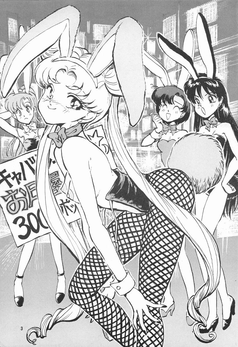 (C43) [ダメージ本舗 (DAPHNIA)] 月光石 (美少女戦士セーラームーン)