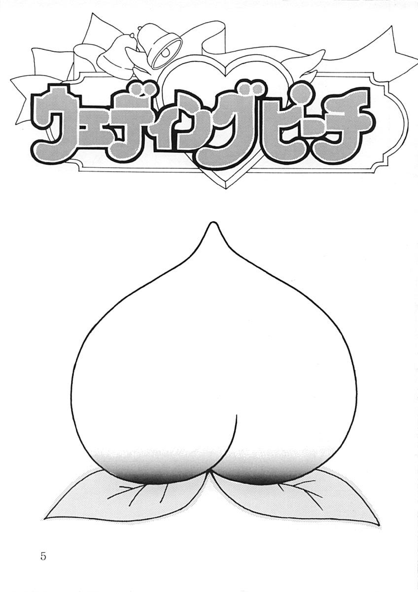 (C48) [ももの湯 (氷室芹夏)] ももの湯 2 (愛天使伝説ウェディングピーチ)