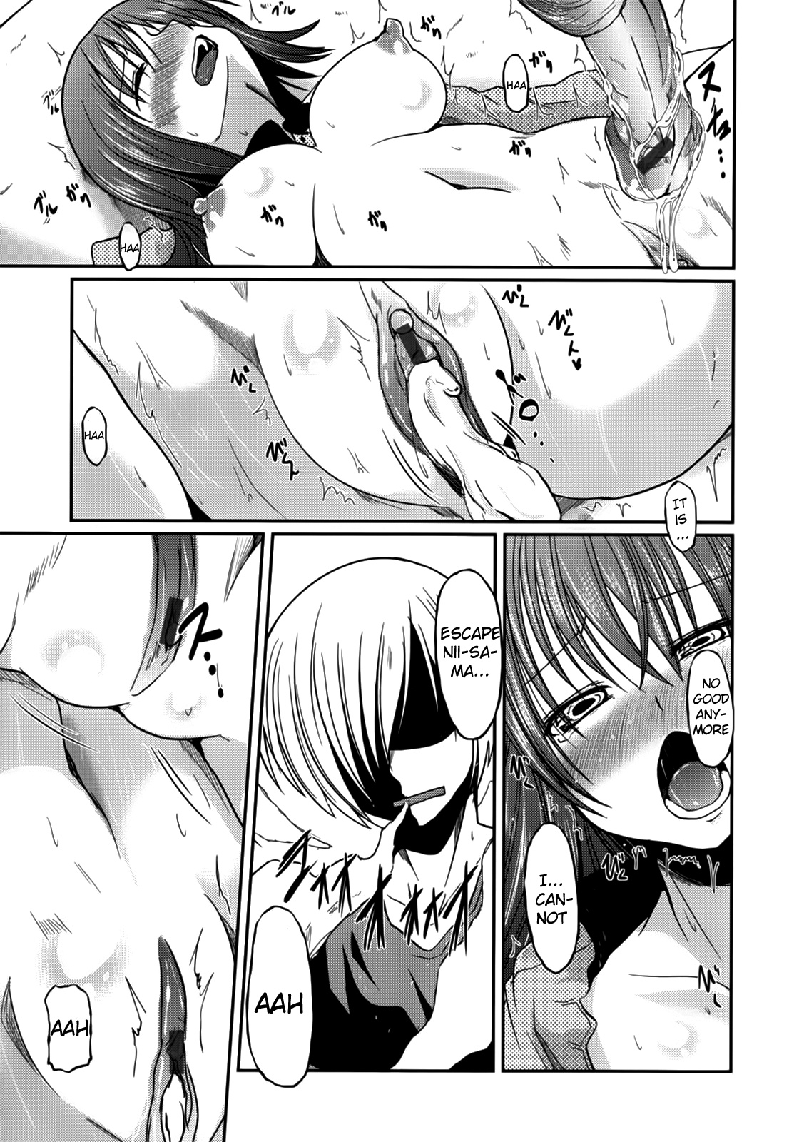 [澤野明] 兄想う故に妹あり ～限定版～ [英訳]