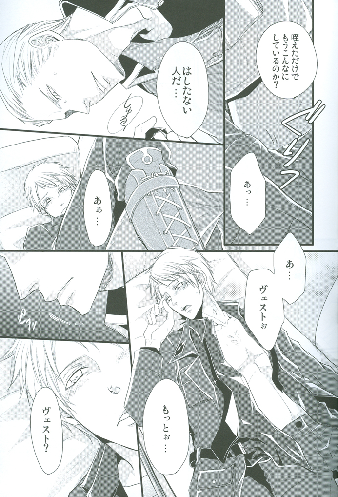 (C76) [FIZZCODE (佐藤ニシキ) N-G ~弟が自重してくれない ~ (Axis Powers ヘタリア)