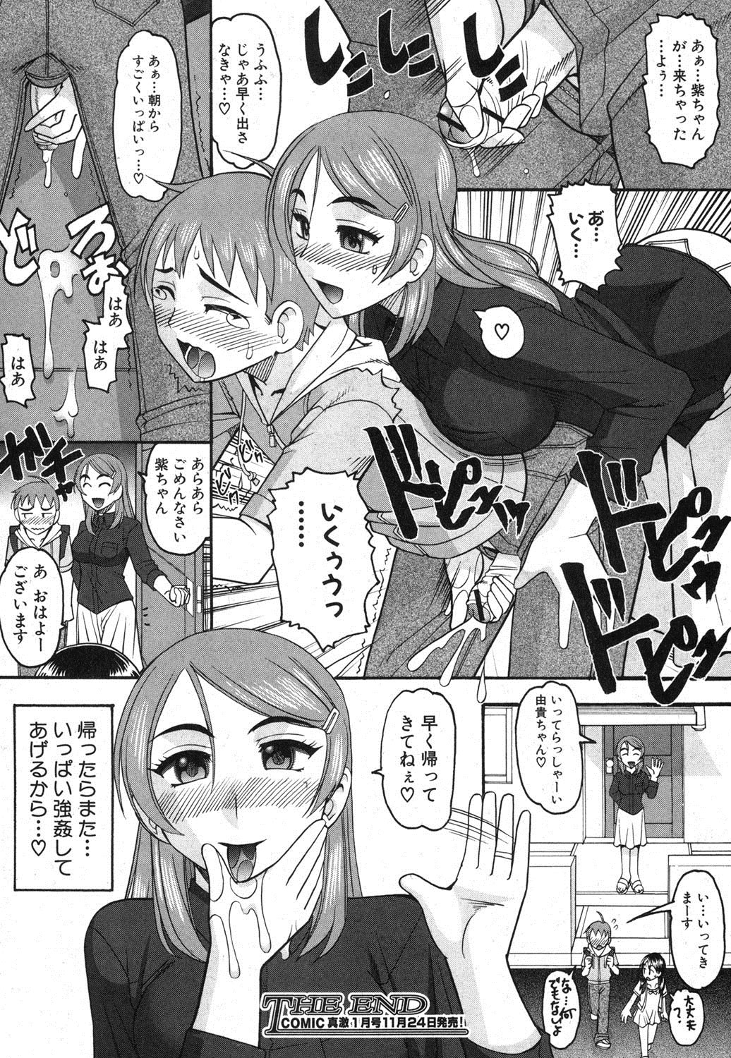 COMIC 真激 2012年12月号 [DL版]