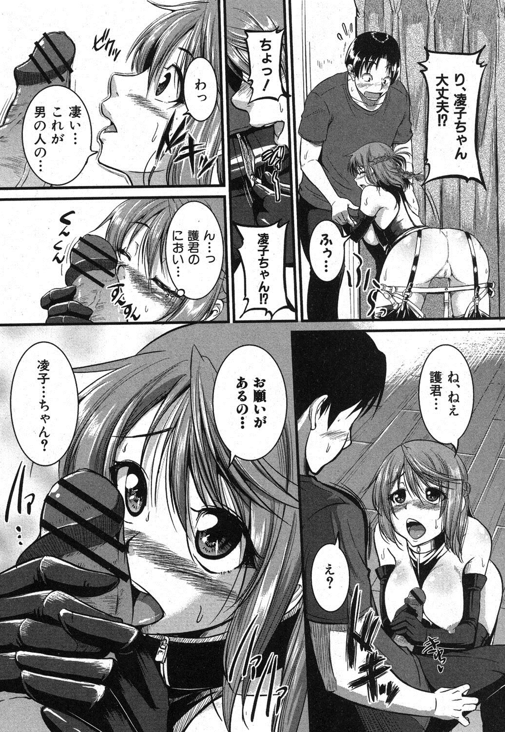 COMIC 真激 2012年12月号 [DL版]
