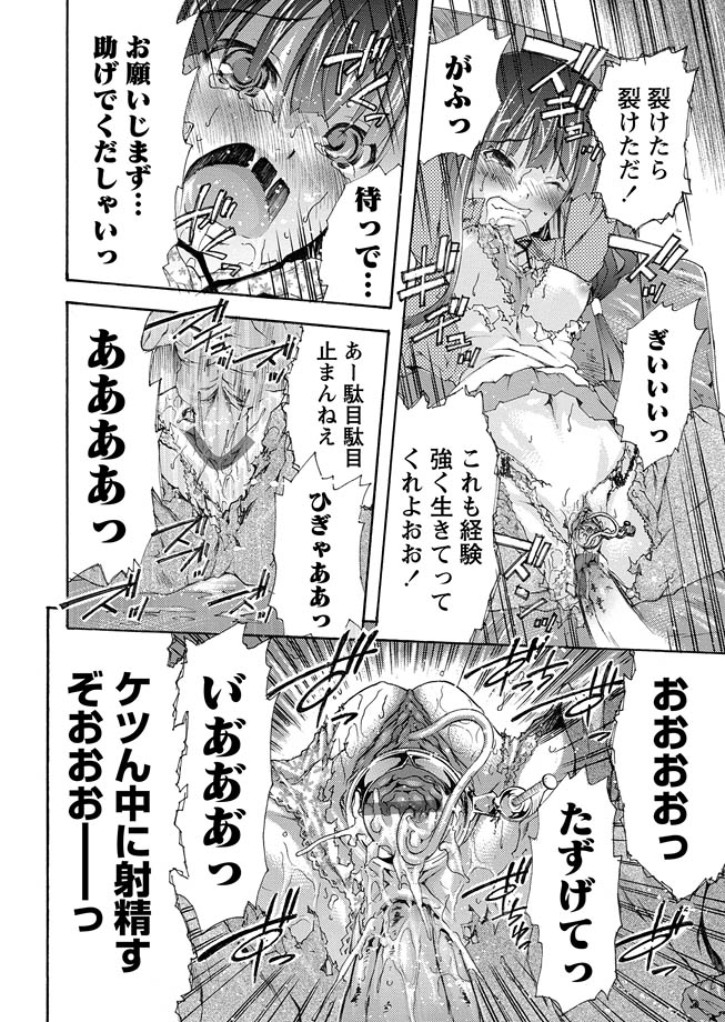 [アンソロジー] 華陵絶対領域 2013年1月号 [DL版]