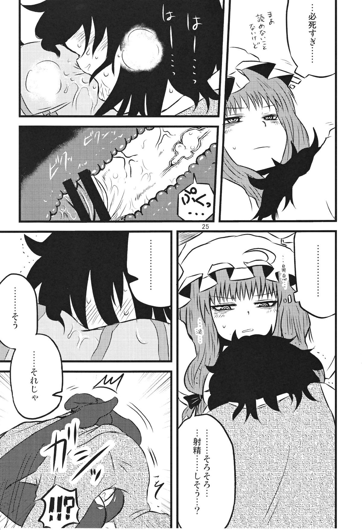 (C82) [川豚毒 (加藤フグオ)] するだけ貮。 (東方Project)