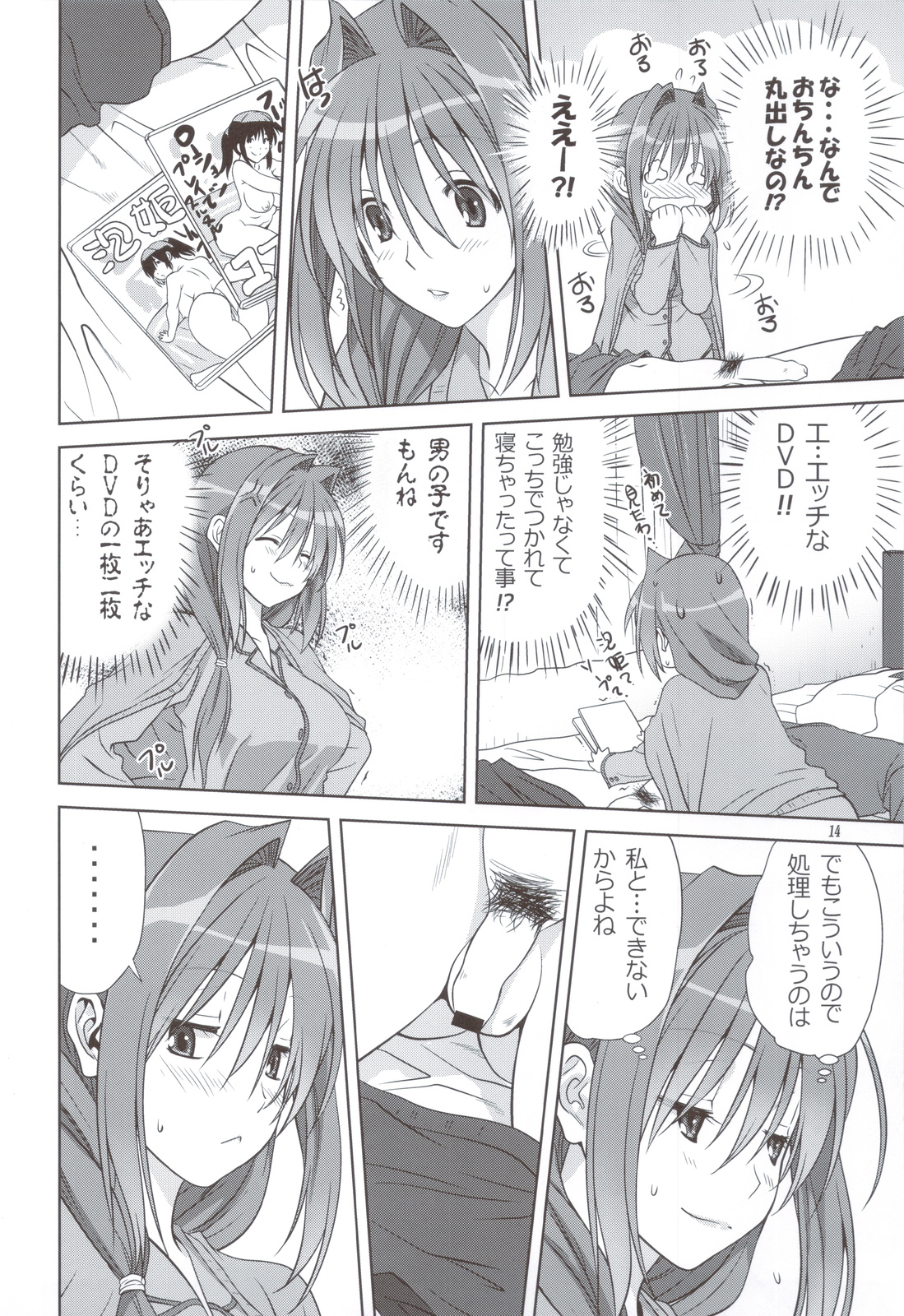 (C83) [みたらし倶楽部 (みたらし侯成)] 秋子さんといっしょ 11 (カノン)