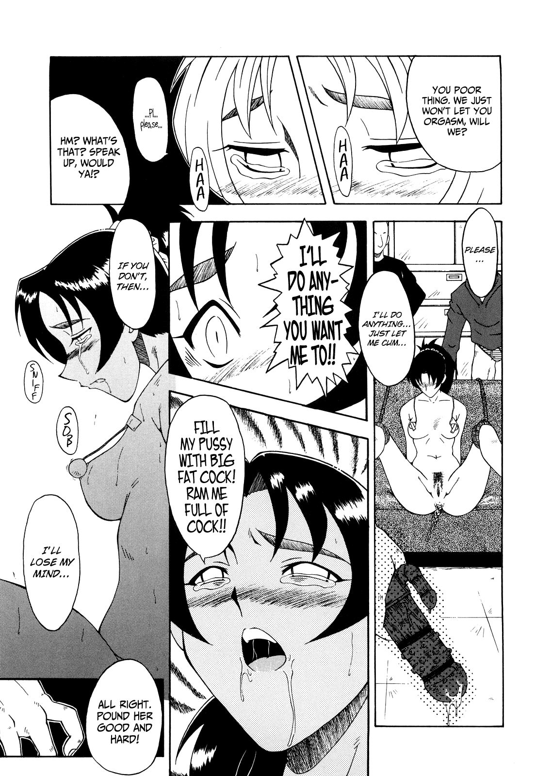 [SINK] 姦熟 [英訳]