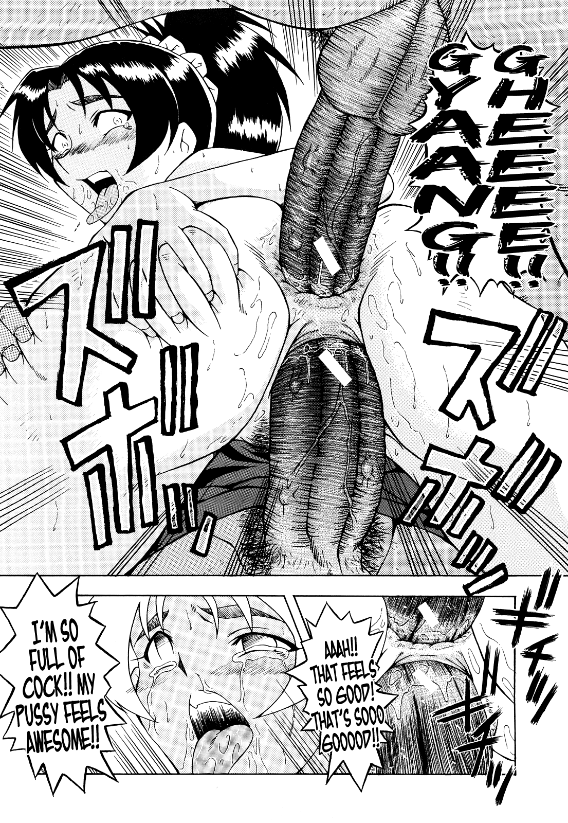 [SINK] 姦熟 [英訳]