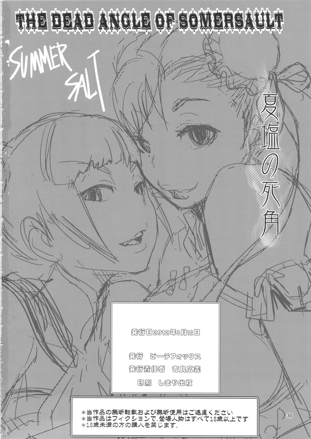(C82) [peach fox (吉良広義)] The Dead Angle Of Somersault (ストリートファイター)