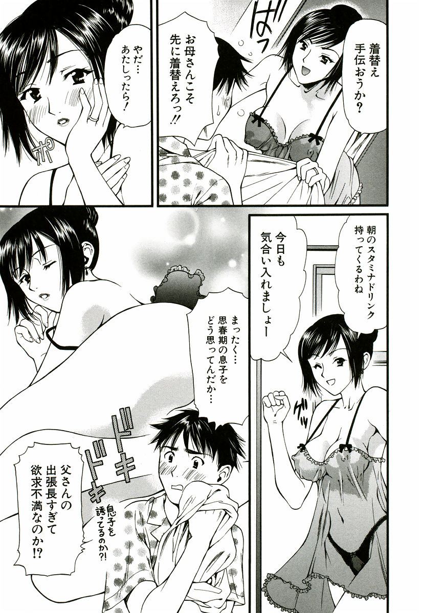 [蓬瑠璃] なでしこ