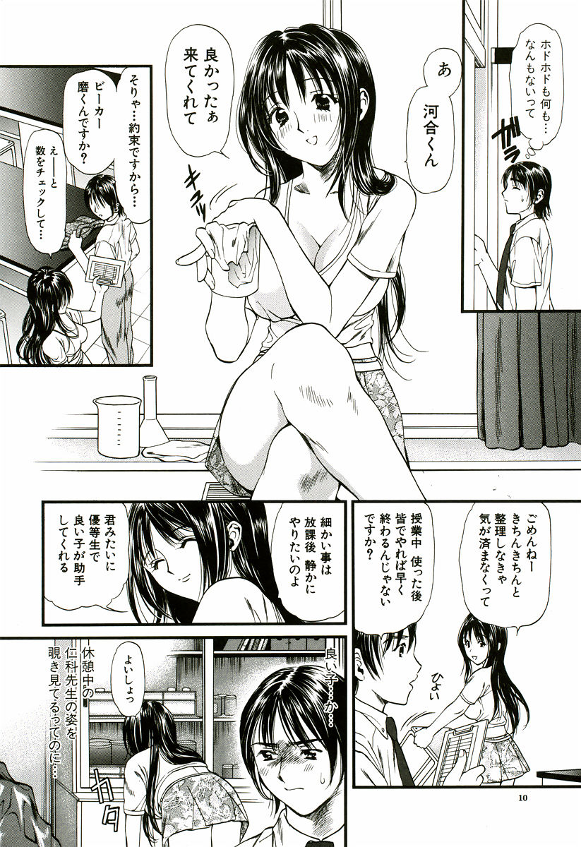 [蓬瑠璃] なでしこ