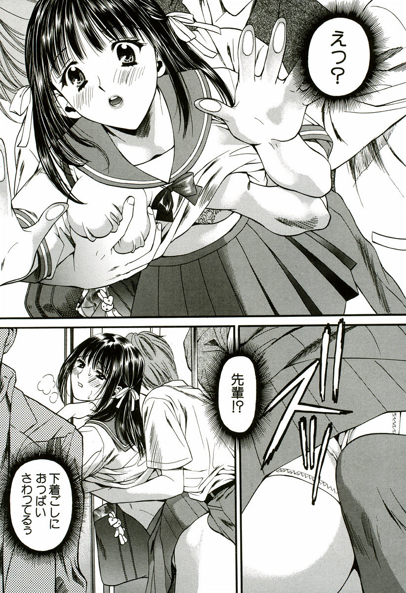 [蓬瑠璃] なでしこ