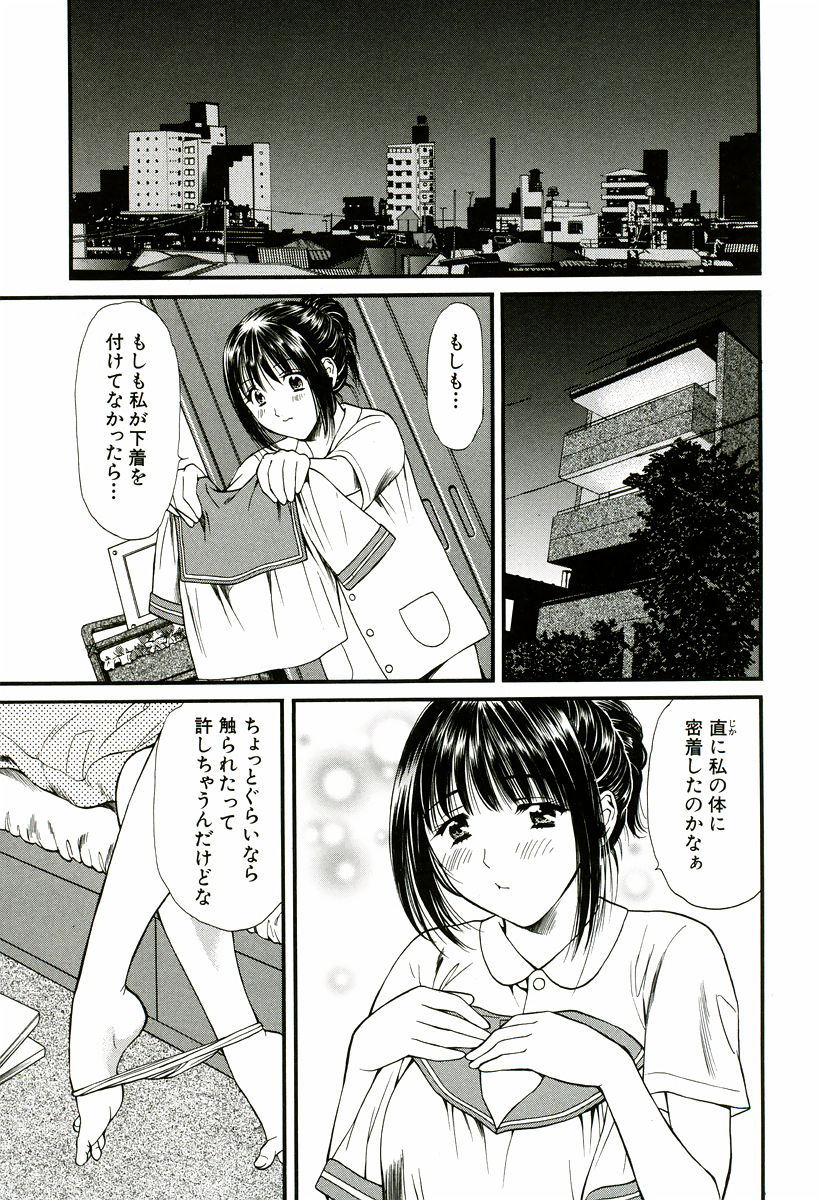 [蓬瑠璃] なでしこ