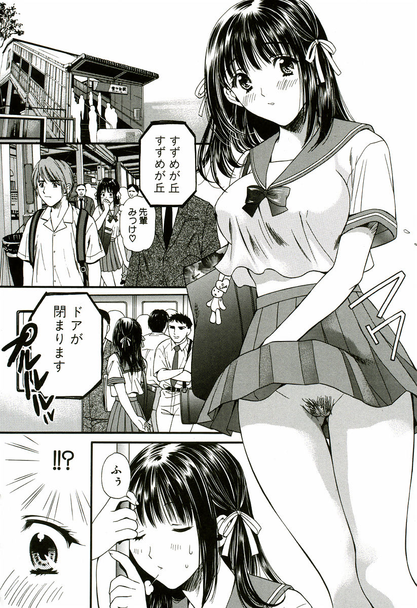 [蓬瑠璃] なでしこ