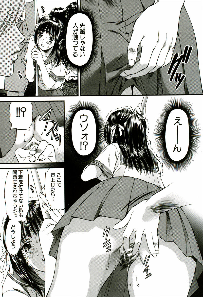 [蓬瑠璃] なでしこ
