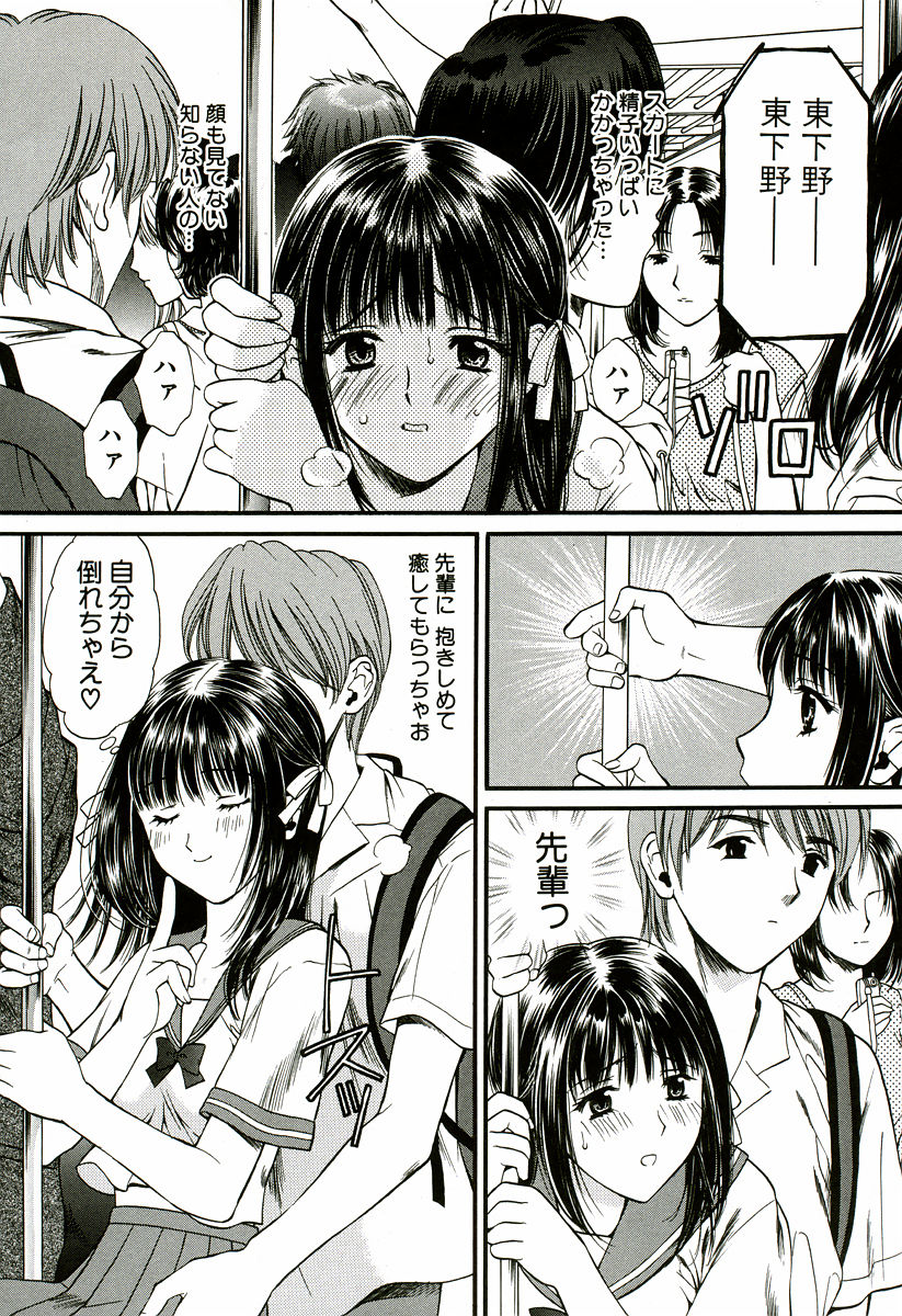 [蓬瑠璃] なでしこ