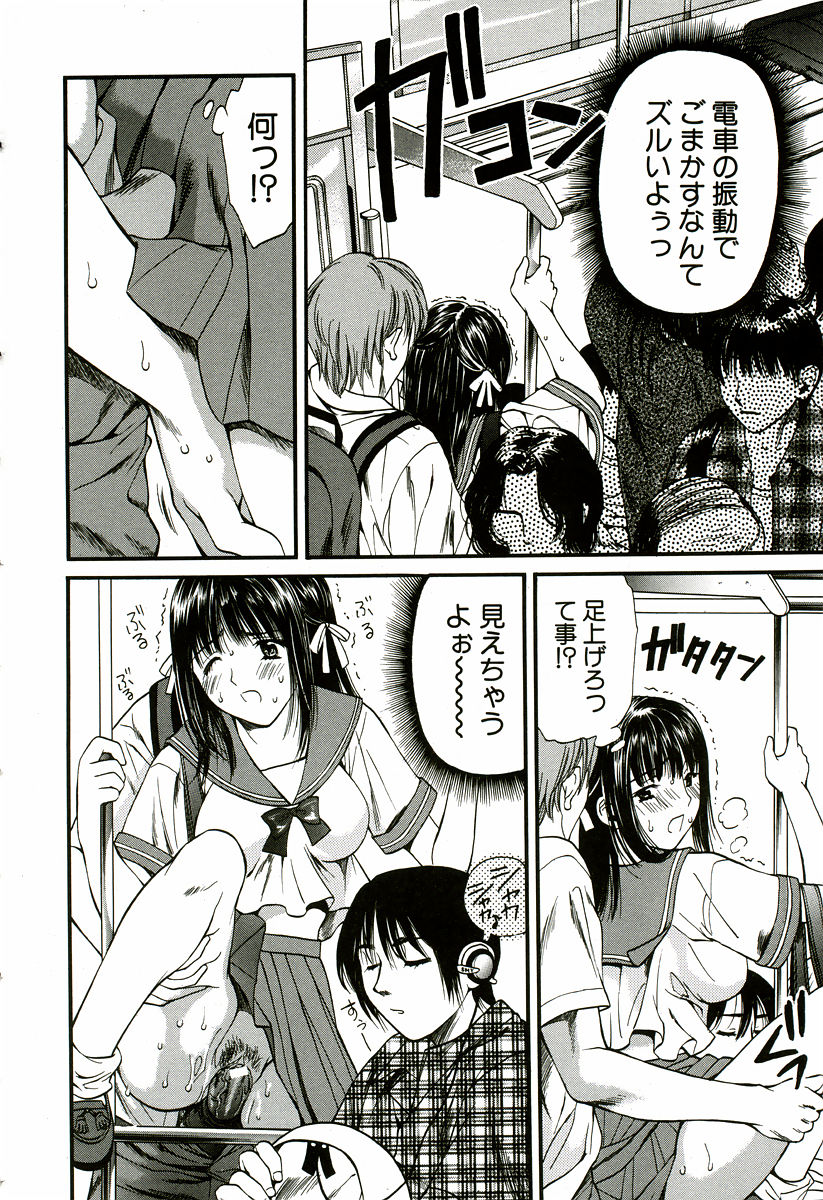 [蓬瑠璃] なでしこ