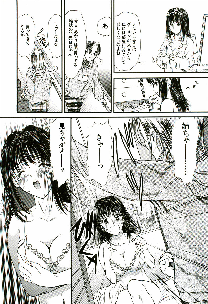 [蓬瑠璃] なでしこ