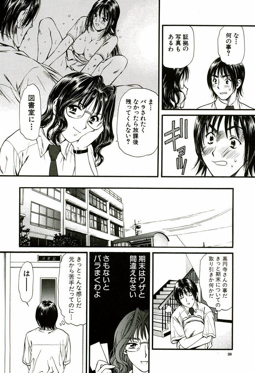 [蓬瑠璃] なでしこ