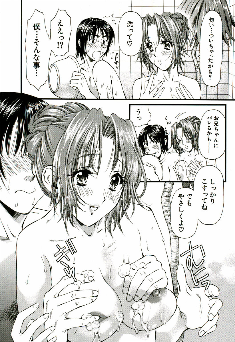 [蓬瑠璃] なでしこ