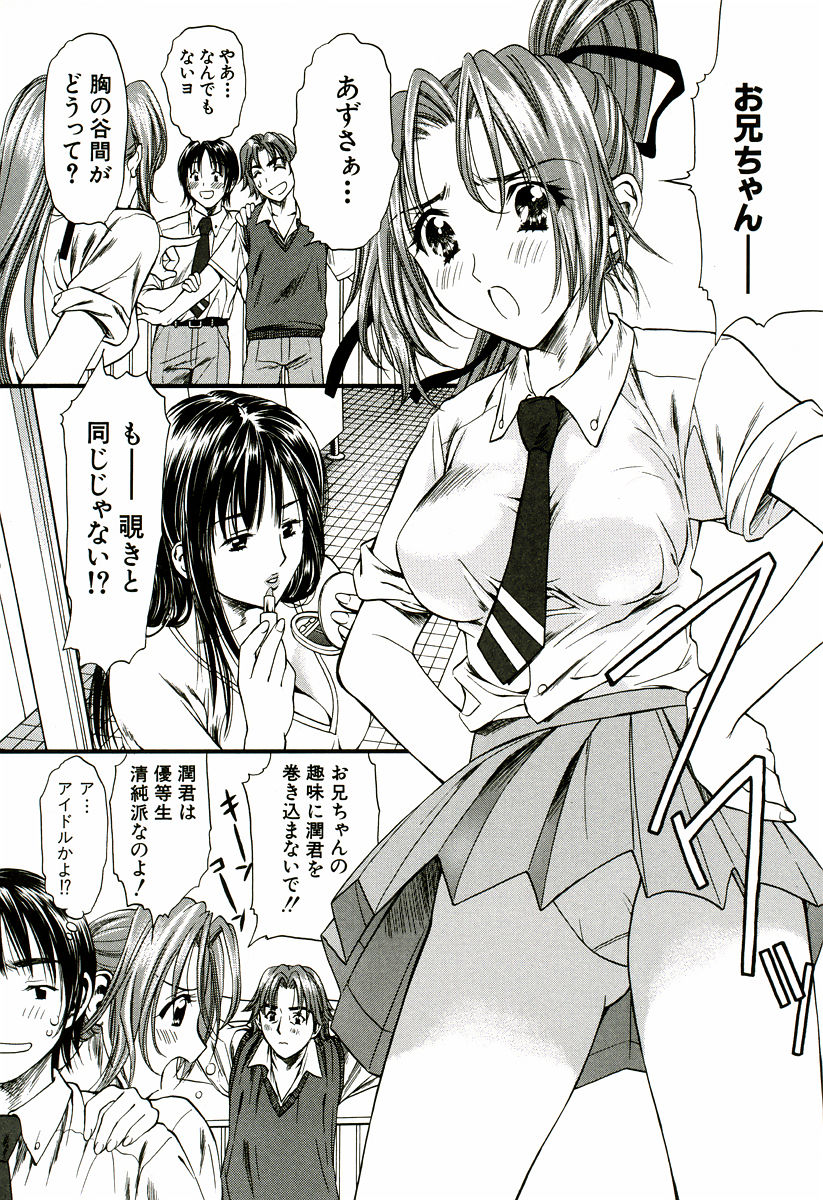 [蓬瑠璃] なでしこ