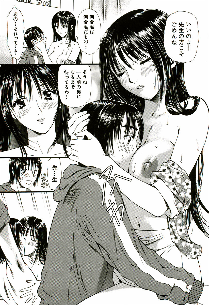 [蓬瑠璃] なでしこ