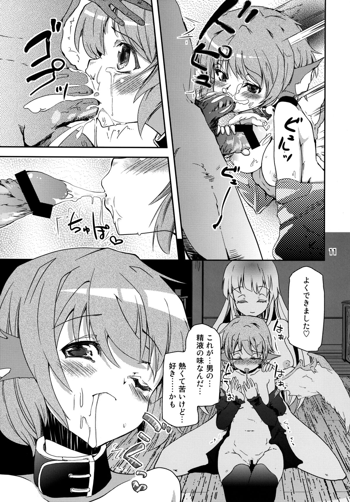 (C82) [山賊の唄 (宝あきひと)] 鳥獣せっくす! (東方Project)