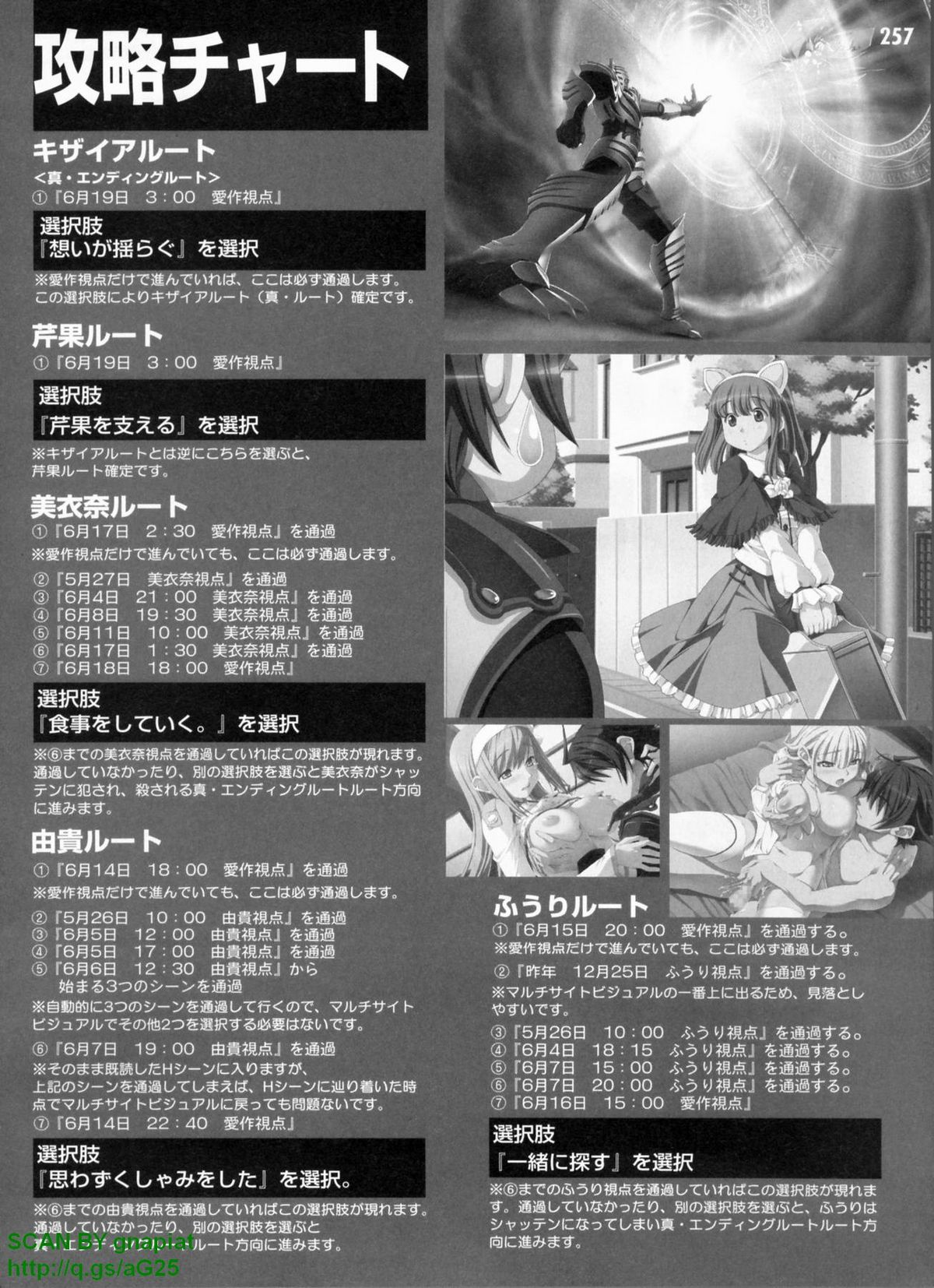 パソコンパラダイス 2009年8月号 Vol.207