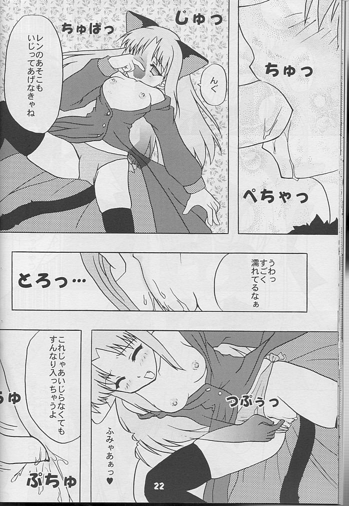 [STUDIO BLACK CATS (津森(AZR)みなと)] BLACK CATS第14号 反転黒猫娘 (月姫)