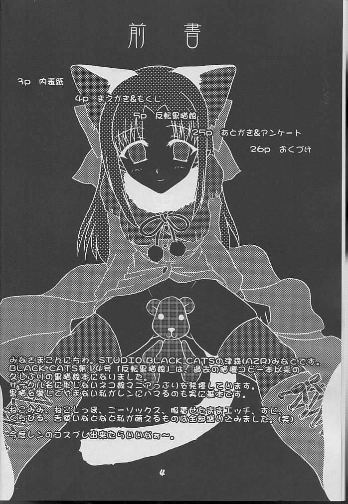 [STUDIO BLACK CATS (津森(AZR)みなと)] BLACK CATS第14号 反転黒猫娘 (月姫)