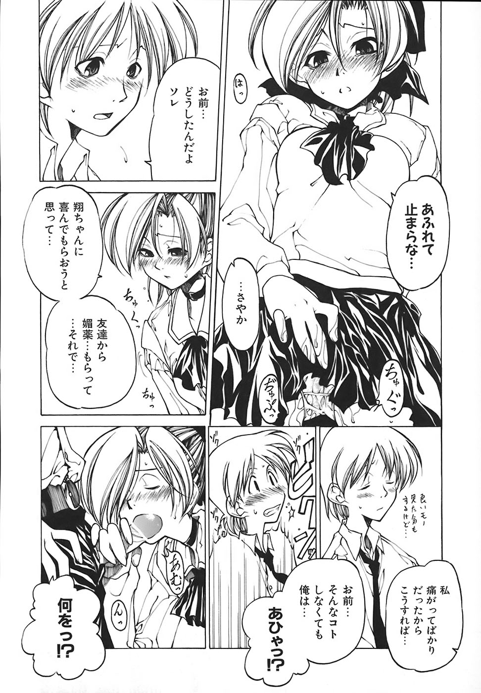 [ベンジャミン] すとれい・しーぷ