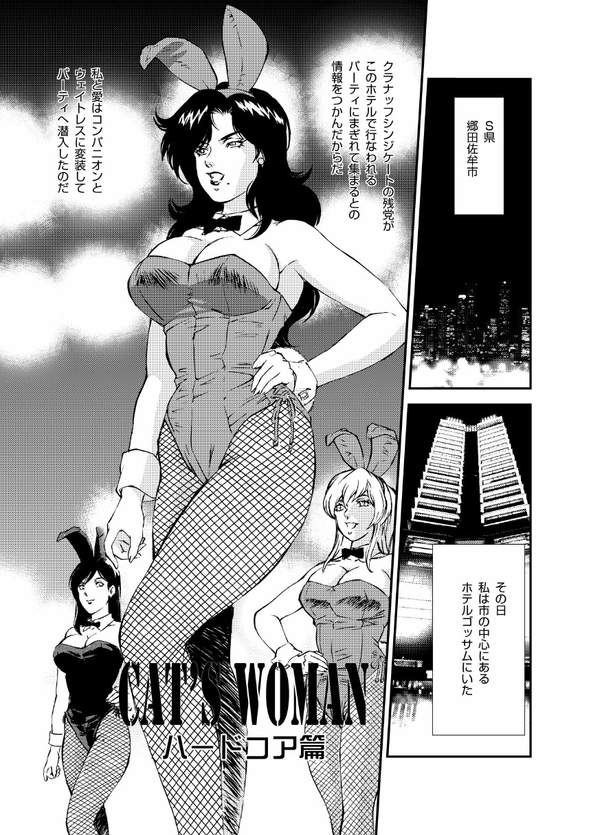 [立派堂 (リーバイス渡辺)] CAT’S WOMAN HARD CORE編 (バットマン, キャッツ・アイ)
