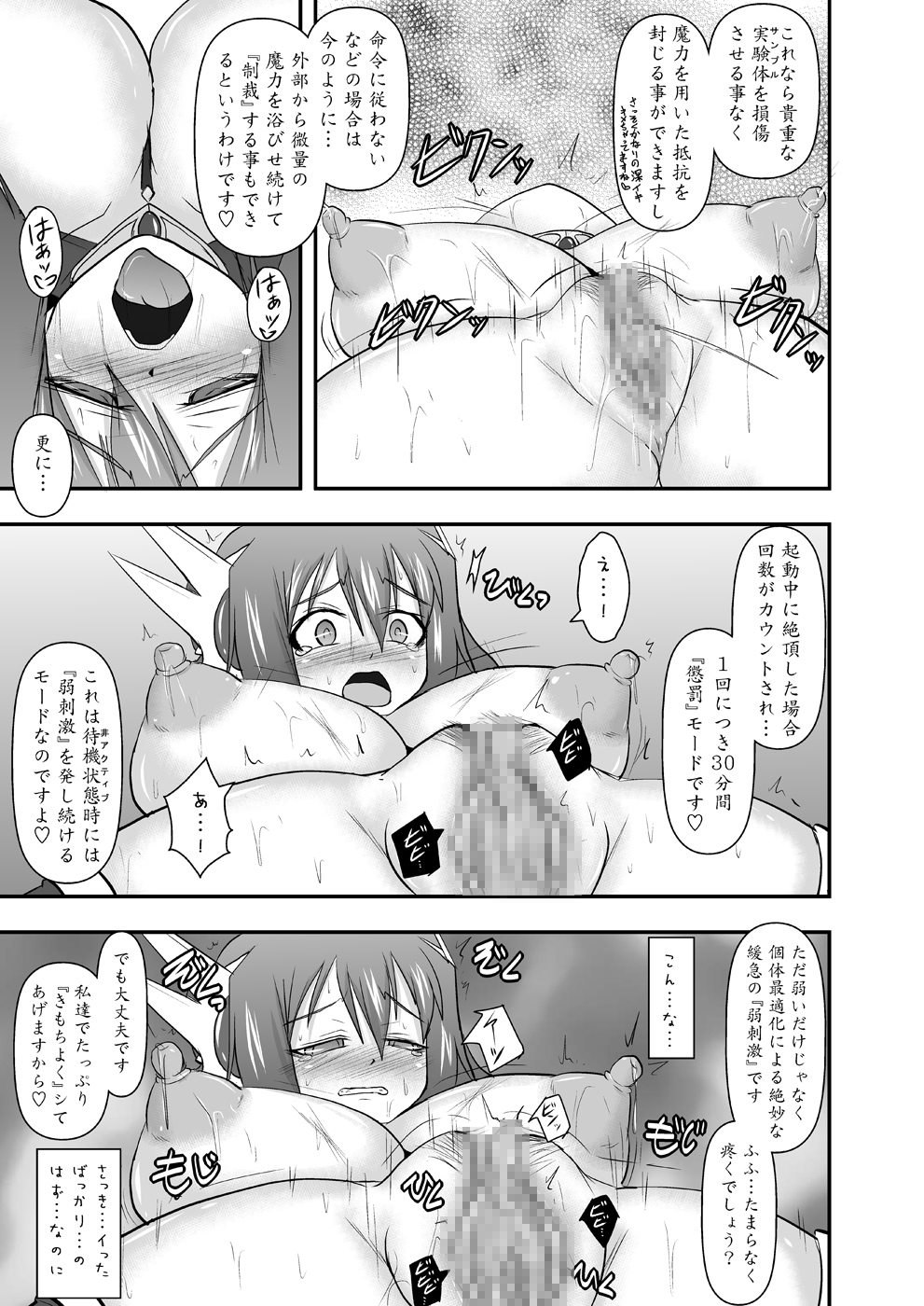 [FONETRASON (竜湯)] 煌盾装騎エルセイン Vol.10 MALICIOUS SISTERS [DL版]