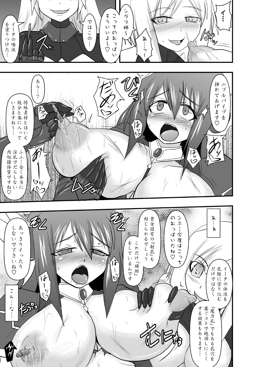 [FONETRASON (竜湯)] 煌盾装騎エルセイン Vol.10 MALICIOUS SISTERS [DL版]