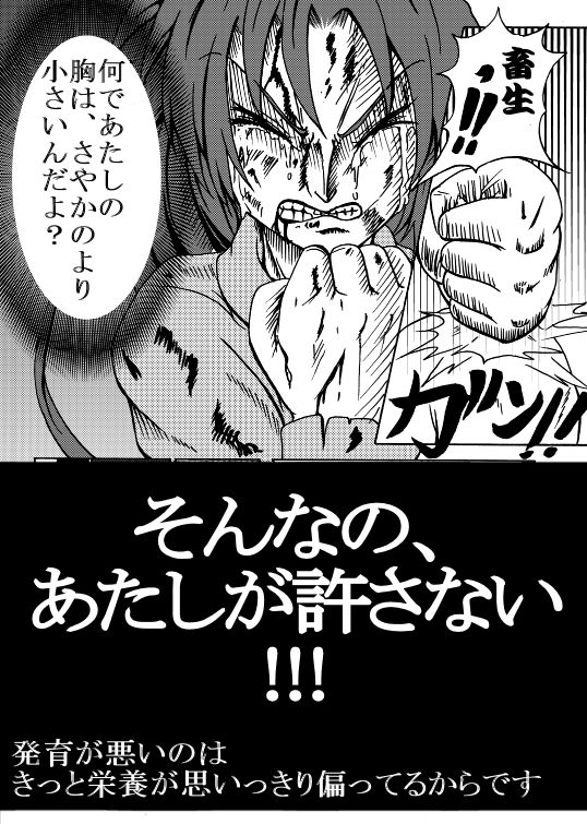 [不死鳥の夜明け] 魔法少女ざらき☆マギカ 「杏子がくれた宝物」 (魔法少女まどか☆マギカ) [DL版]