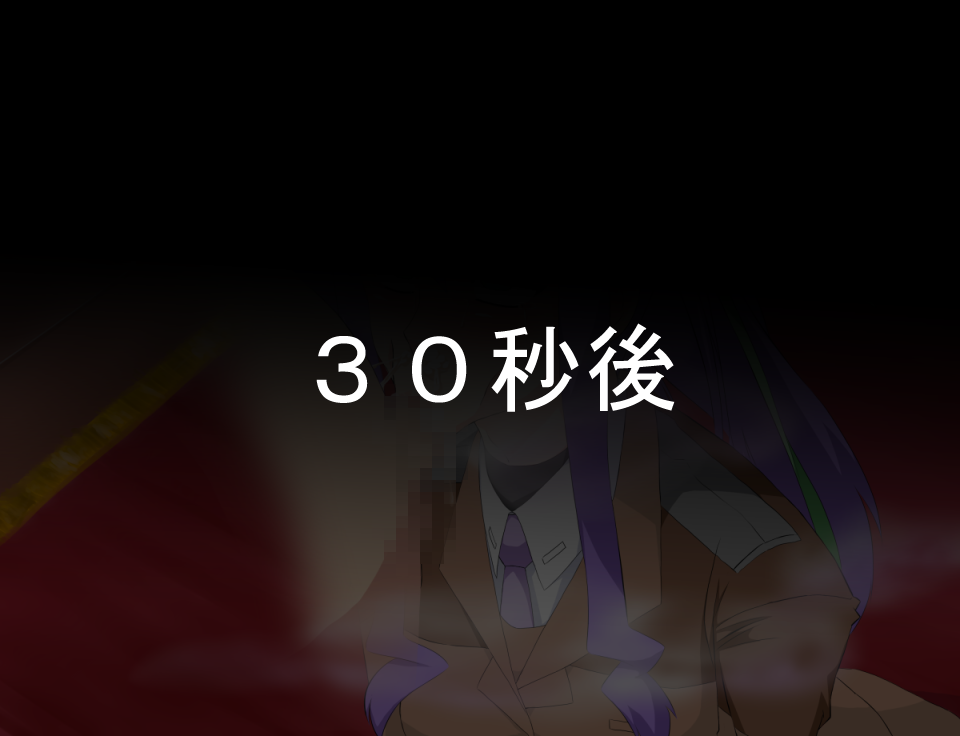 [いざなぎ] 戦闘機人に××なんてある筈が無い! (魔法少女リリカルなのは) [DL版]