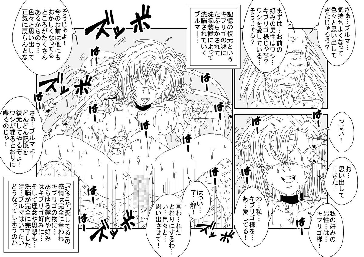 (同人誌) [Alice.Blood] 洗脳教育室～ブ☆マ編～