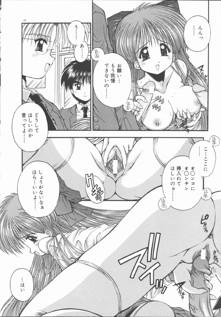 [鴨川たぬき] エレメンツ