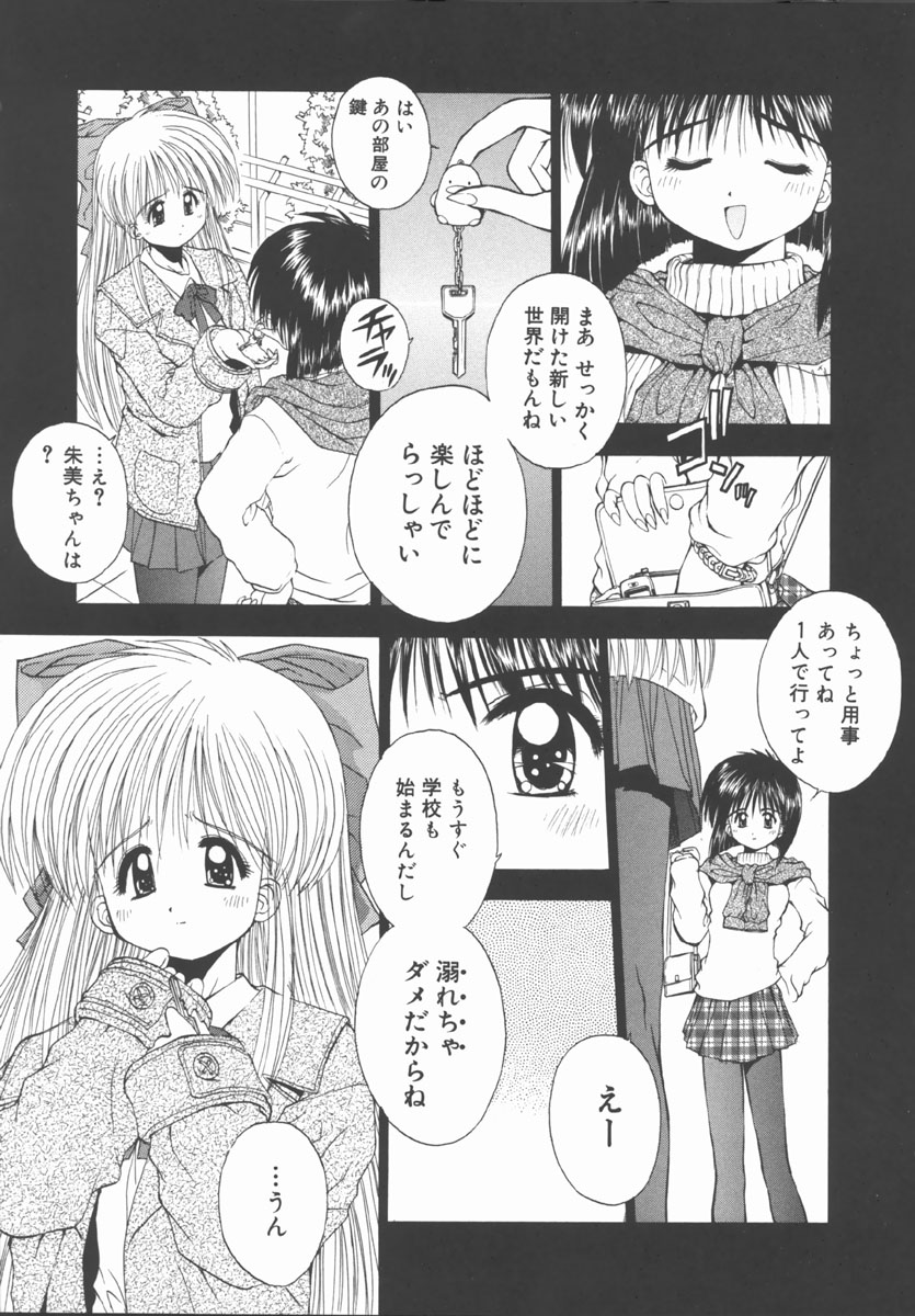 [鴨川たぬき] エレメンツ