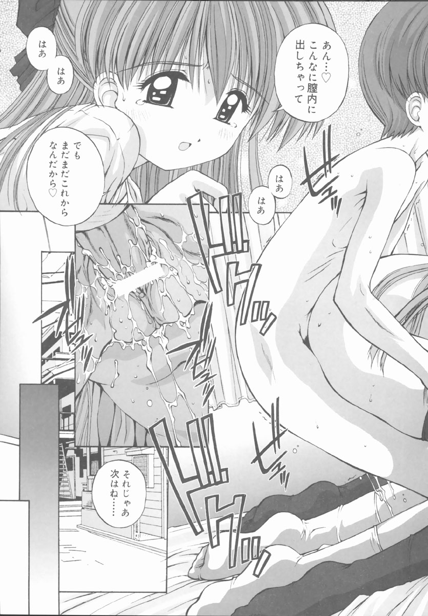 [鴨川たぬき] エレメンツ