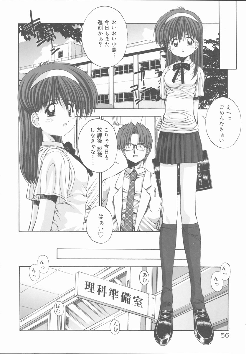 [鴨川たぬき] エレメンツ