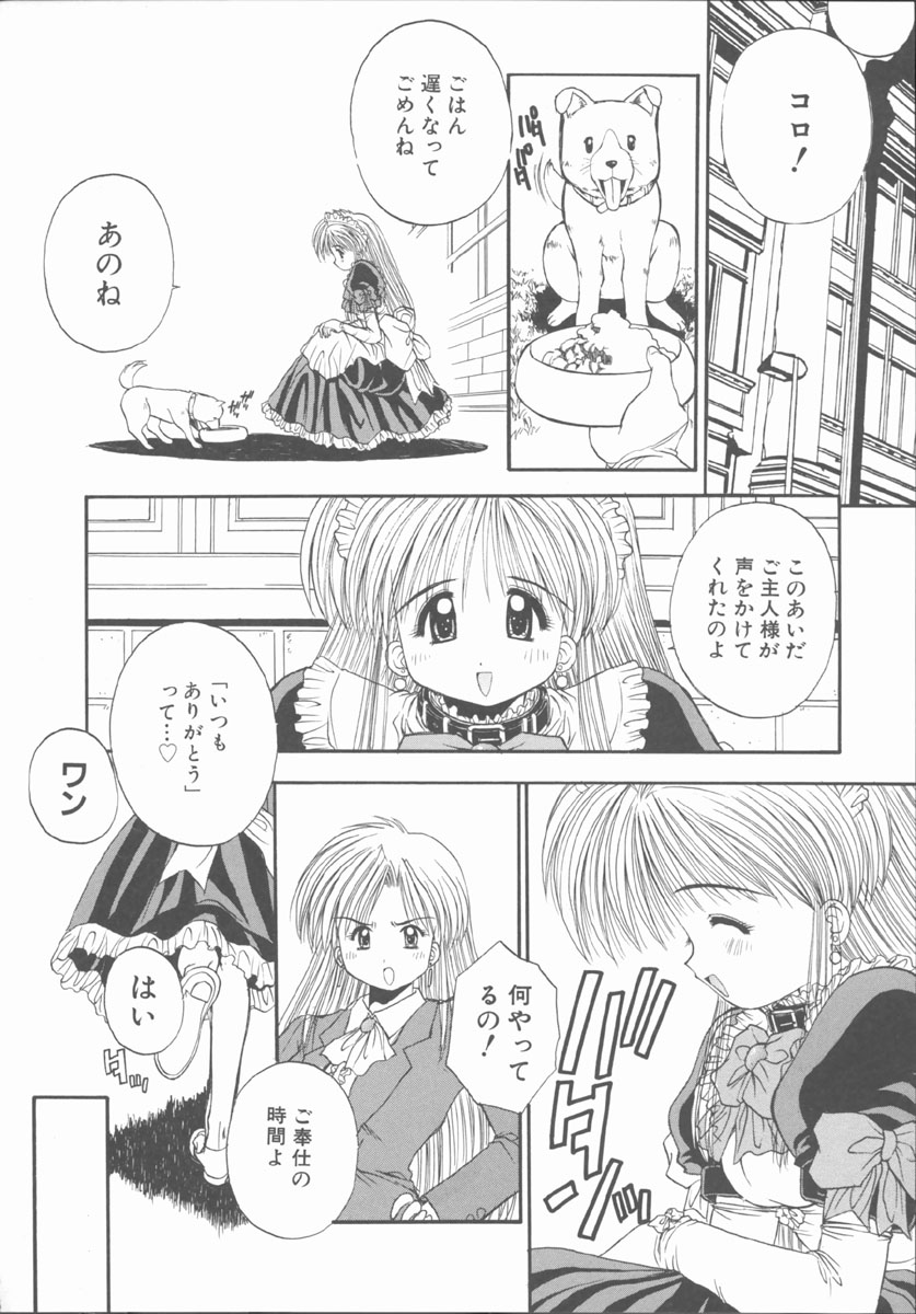 [鴨川たぬき] エレメンツ