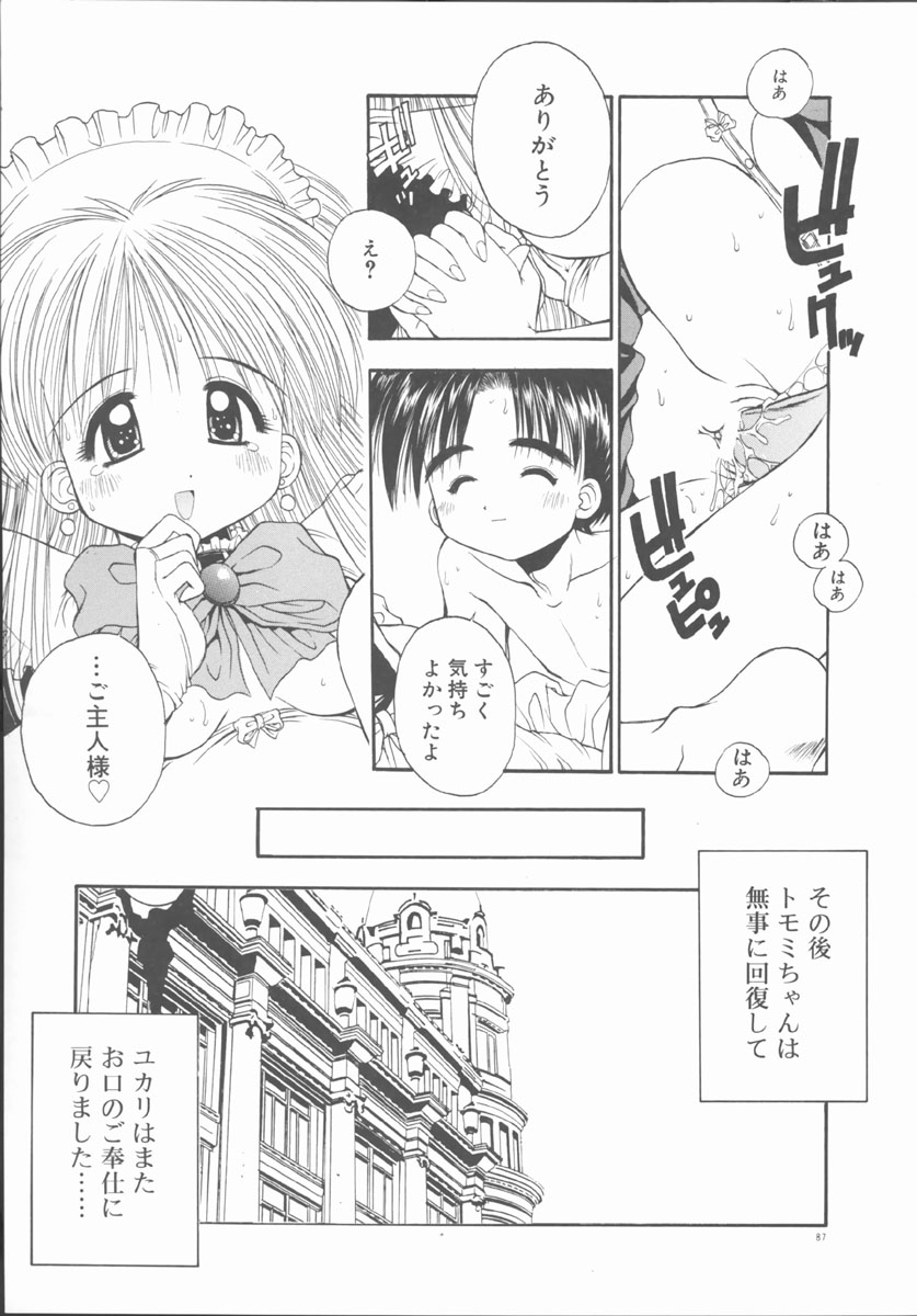 [鴨川たぬき] エレメンツ