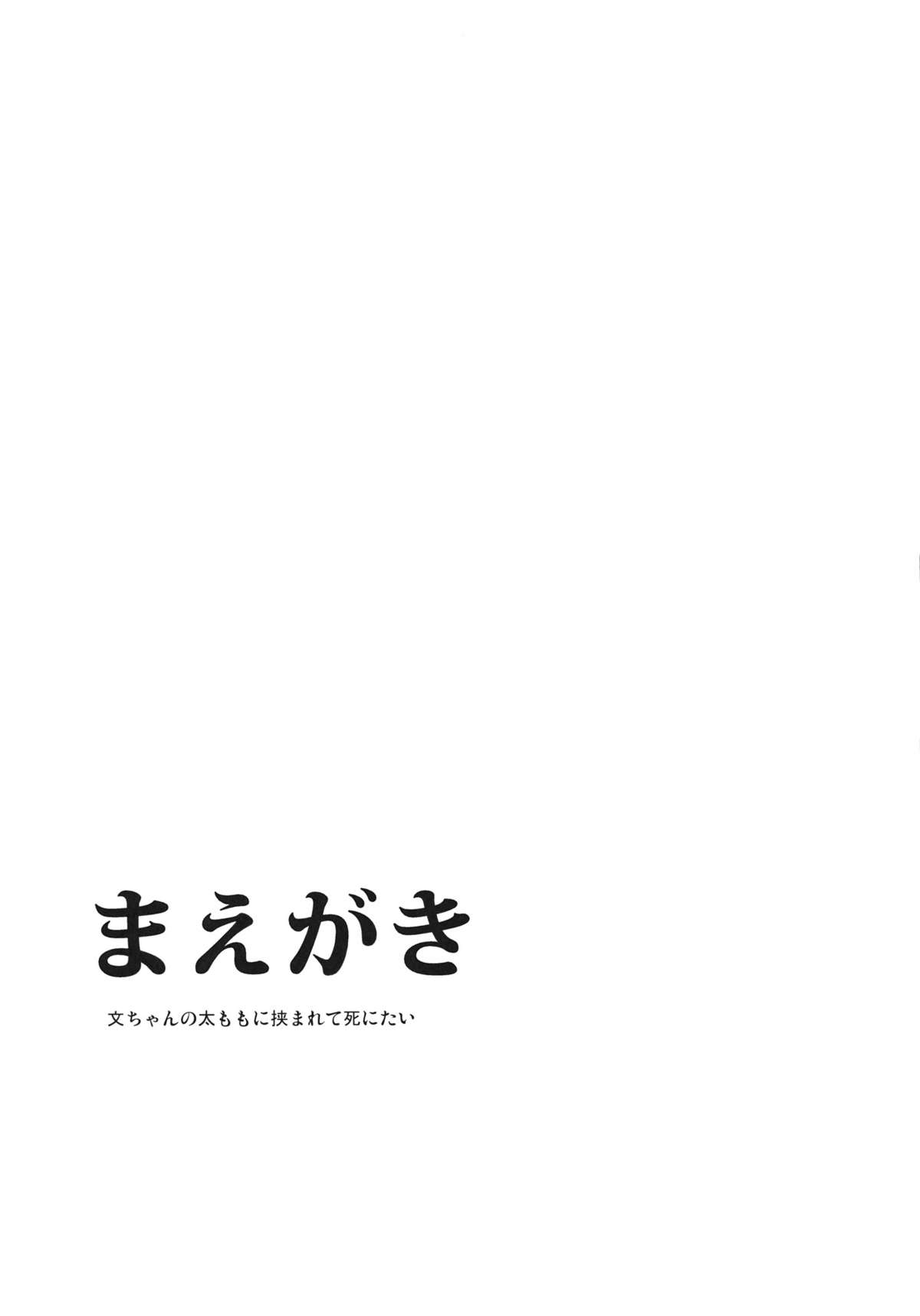 (紅楼夢7) [白ネギ屋 (miya9)] AYA17 (東方Project)