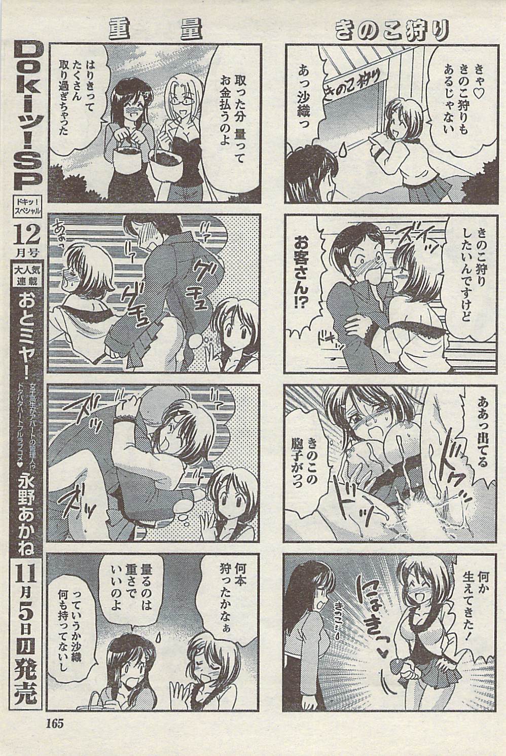 [雑誌] COMIC ドキッ! 2007年11月号