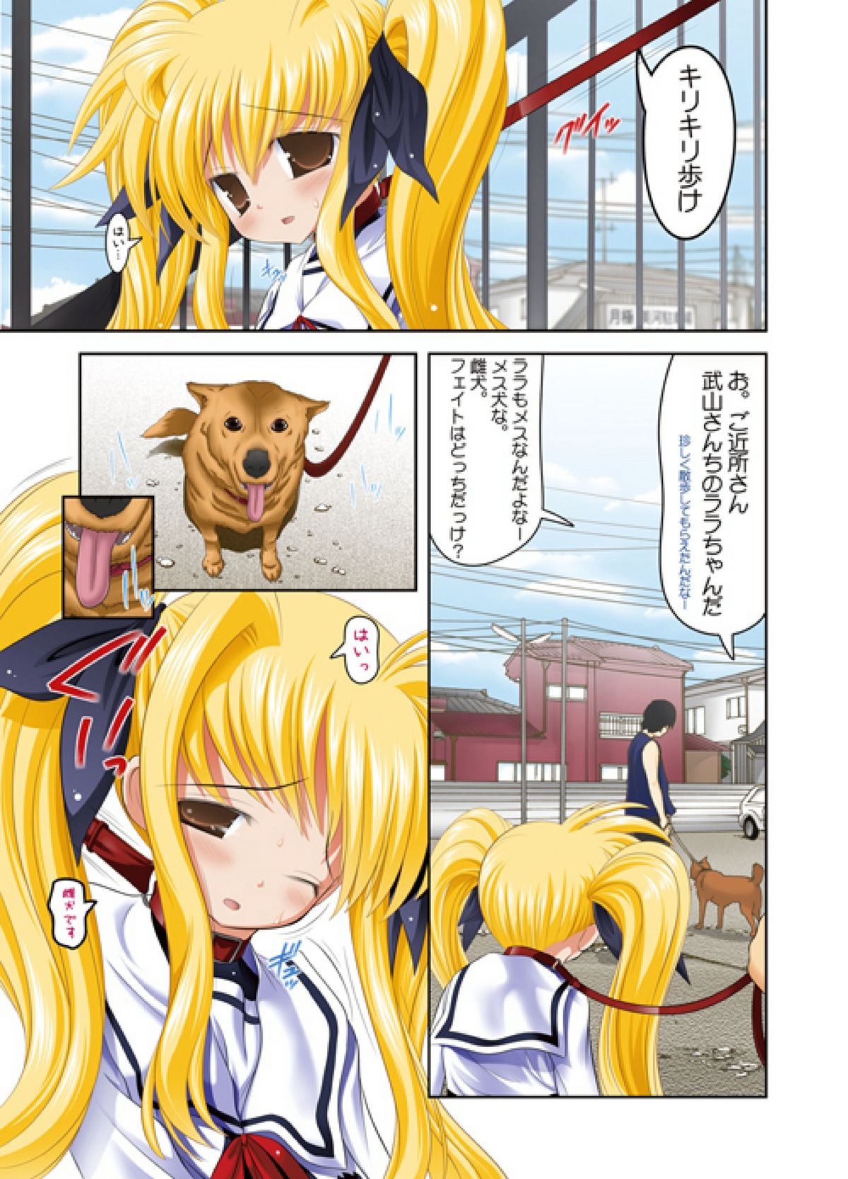 [STUDIOふあん (来鈍)] フェイトちゃん。真昼の路上調教編 (魔法少女リリカルなのは) [DL版]