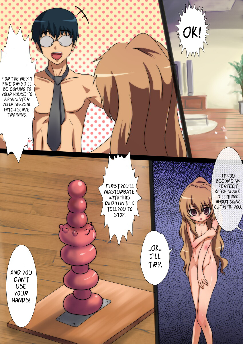 [ねぎとろん (Well)] とらトレ! わくわく拡張トレーニング (とらドラ！) [英訳]
